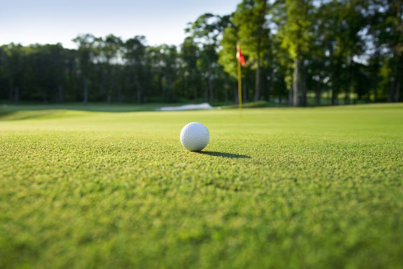 Golf Course Turf Installation