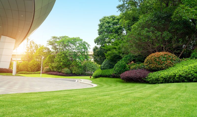 Commercial Landscape Service