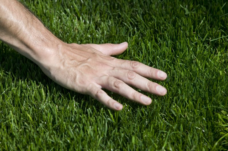 Lawn Border Installation detail