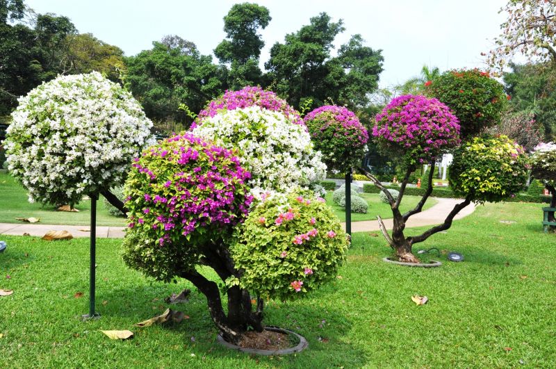 Garden Landscape Design