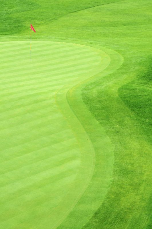 Golf Course Turf Installation