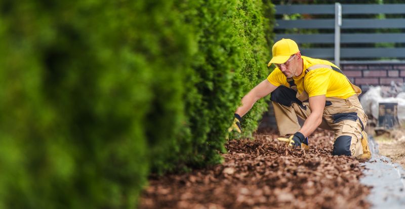Landscaping Replacement