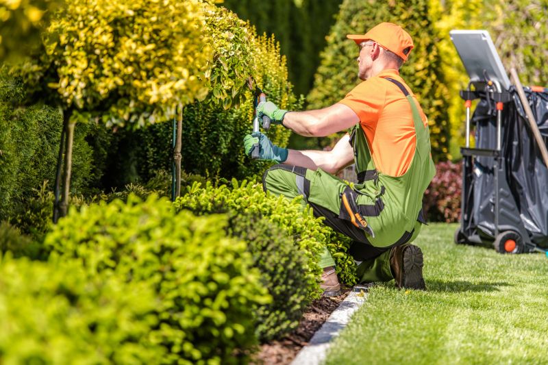 Landscaping Replacement
