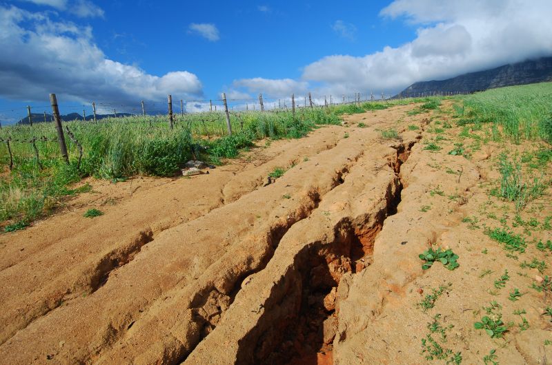Lawn Erosion Repair