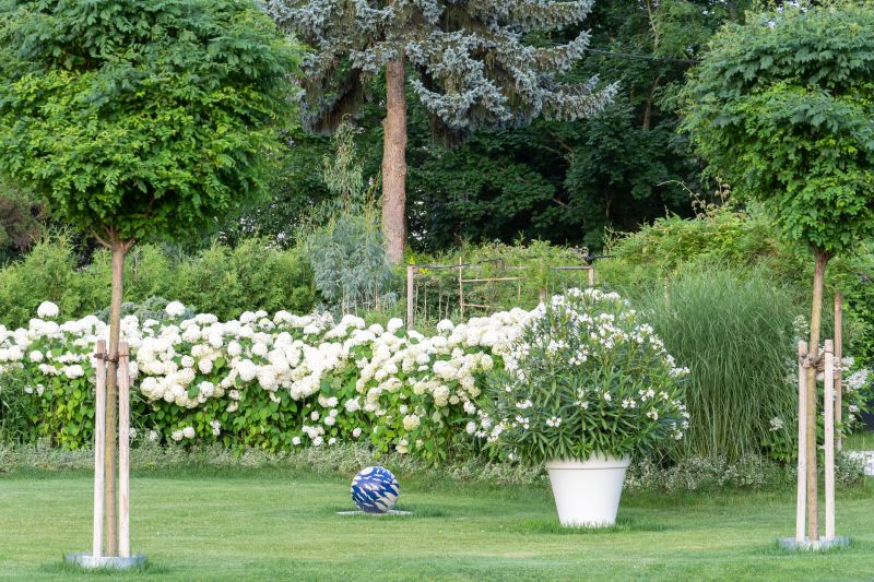 Lawn Landscaping