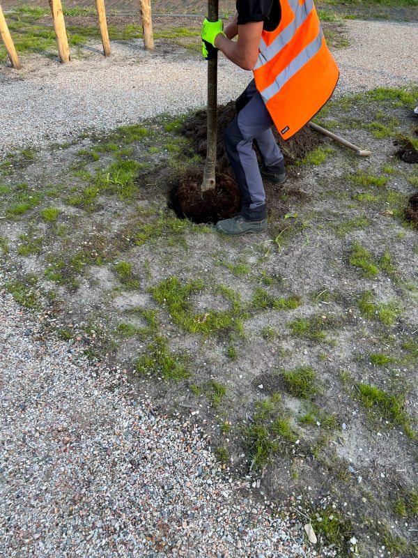 Planting Service