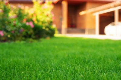 Residential Landscaping