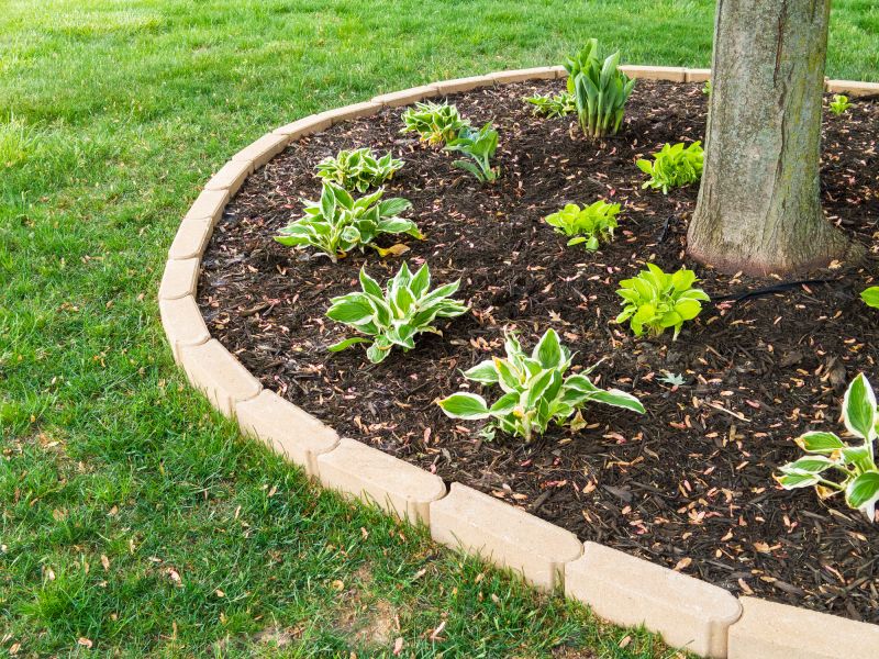 Tree Curbing Installation