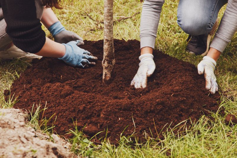 Tree Planting Service