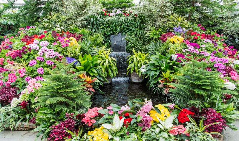 Water Feature Landscaping